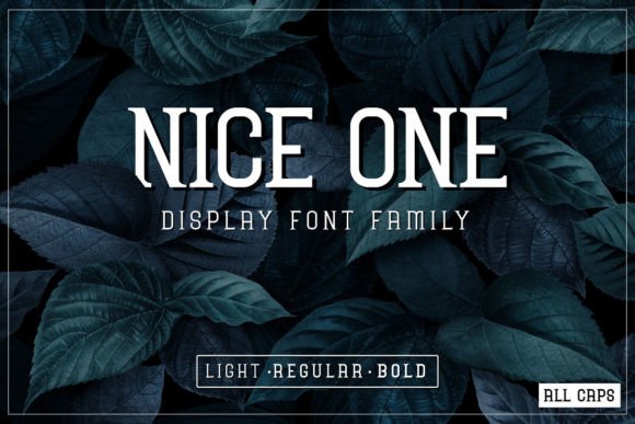 Nice One Display Font Review